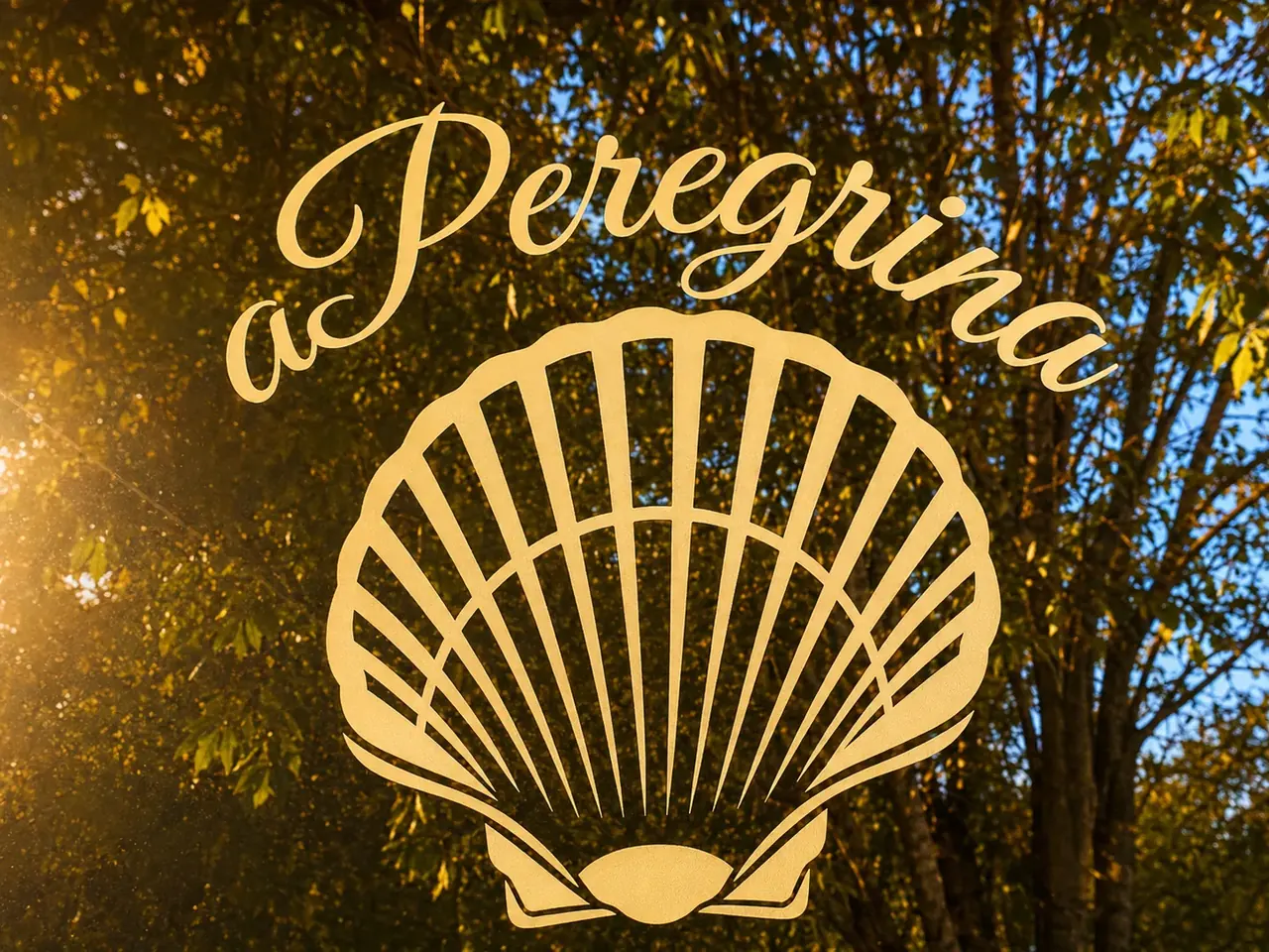 Logo de aPeregrina sobre los árboles